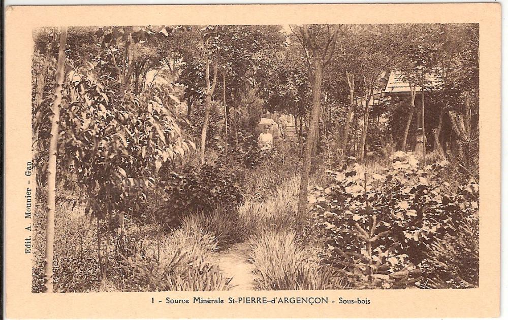 Source Minerale Saint Pierre d'Argençon sous bois