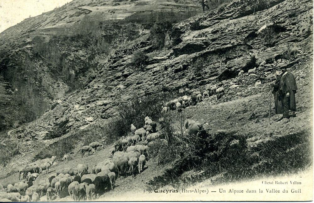 Un Alpage dans la Vallée du Guil