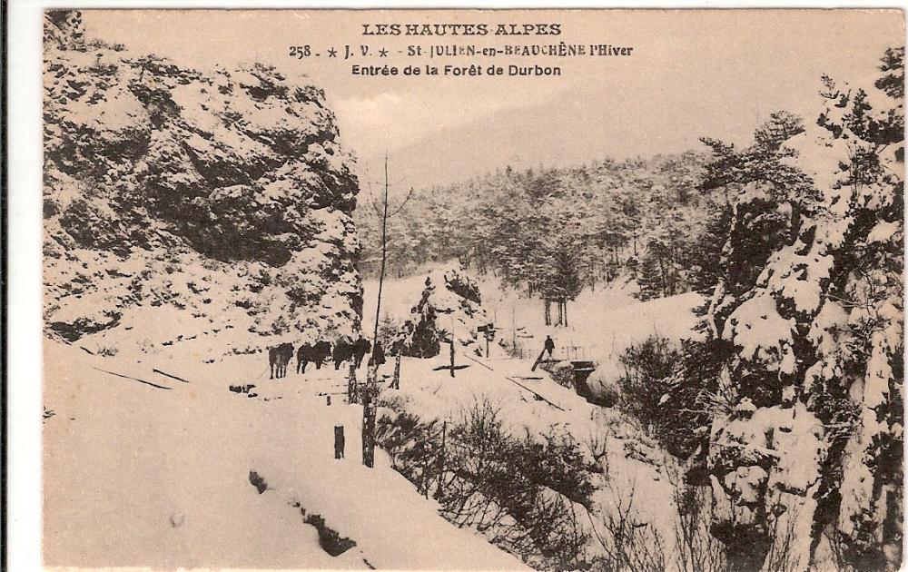 Saint Julien en Beauchêne Entrée de la Forêt de Durbon