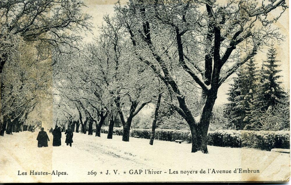 Les Noyers de l'Avenue d'Embrun