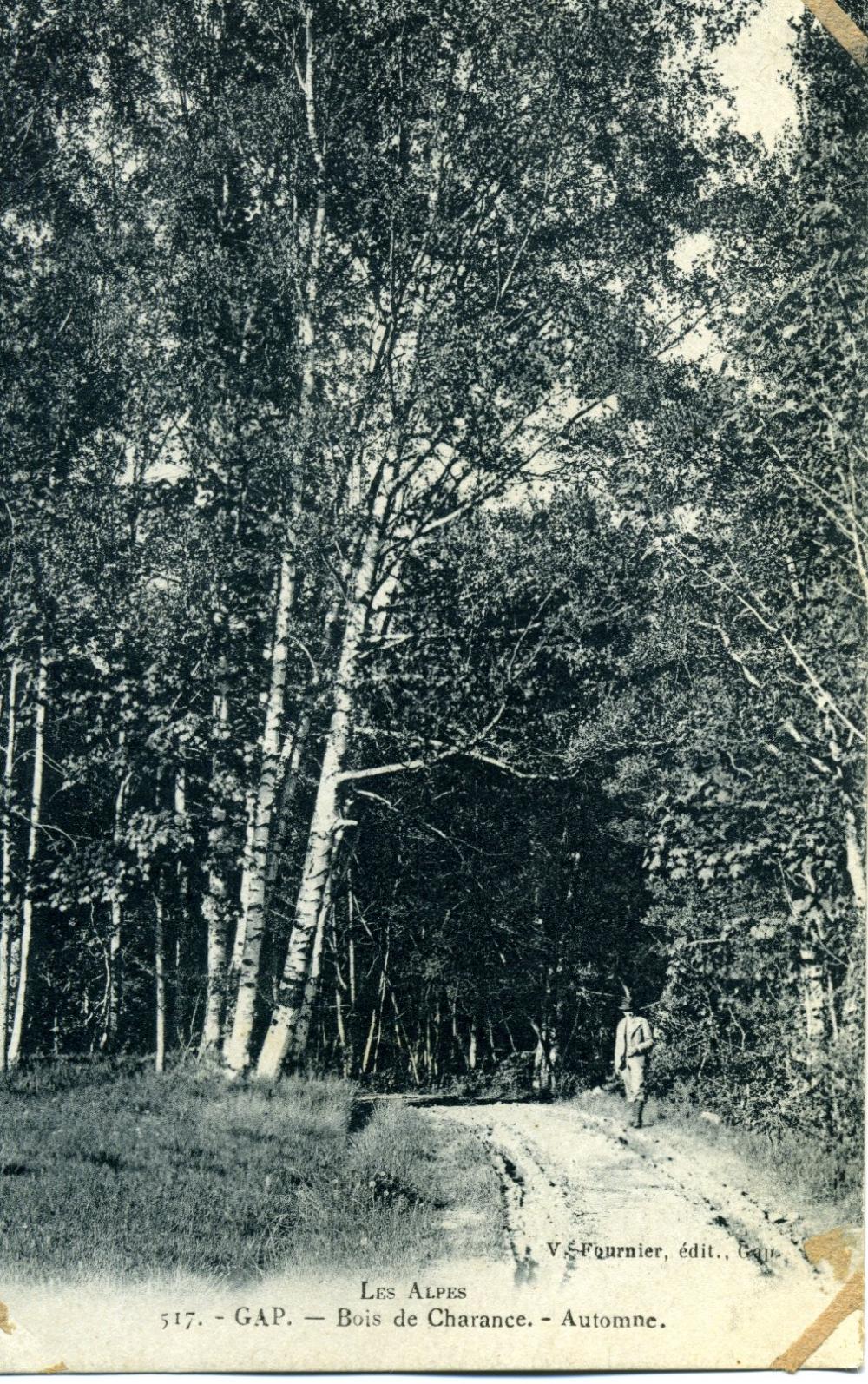 Bois de Charance à l'Automne