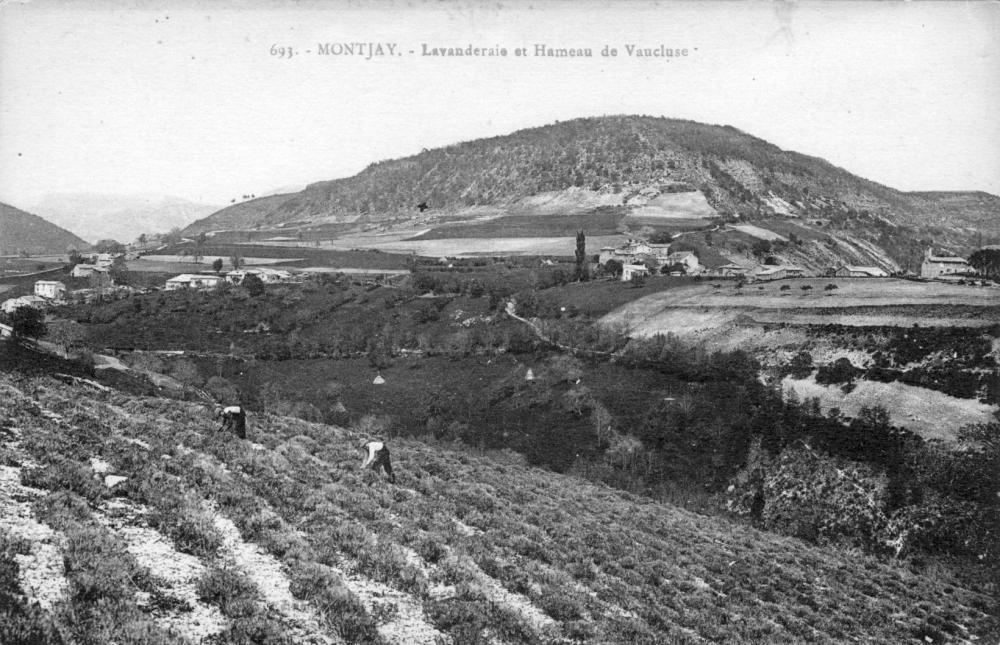 Montjay - Lavanderaie et Hameau de Vaucluse