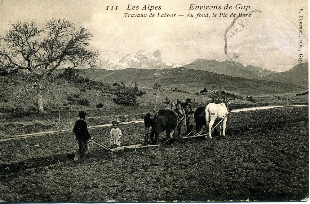 Travaux de Labour , au fond le pic de Bure