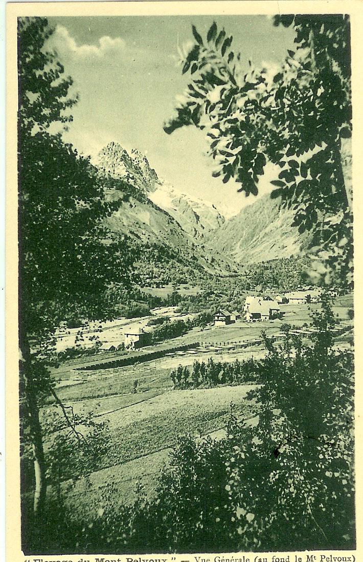 Elevage du Mont-Pelvoux - Vue générale (au fond le Mt Pelvoux)