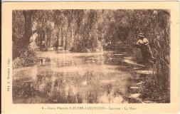 Source Minerale Saint Pierre d'Argençon sous bois la Mare