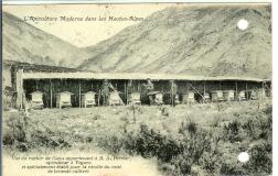 L'apiculture Moderne dans les Hautes Alpes