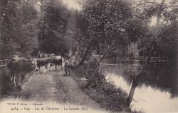 Lac de Charance La Grande Allée