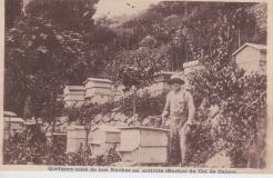 Quelques-unes de nos ruches en activité ( rucher du col de Cabre)